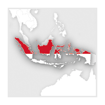 INDONESIE